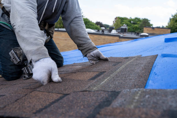 Best Roof Waterproofing Services  in Shil, OH