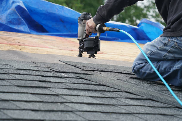 Roof Gutter Cleaning in Shiloh, OH